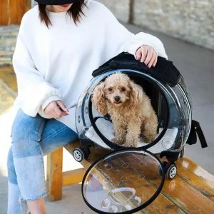 Pet Trolley Case Clear Ventilation Holes