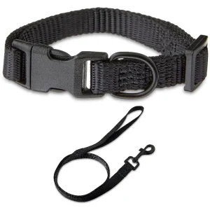 Solid Polyester Adjustable Dog Collar, with 4ft Dog Leash, Black, Extra Small